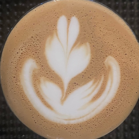 myl1fern